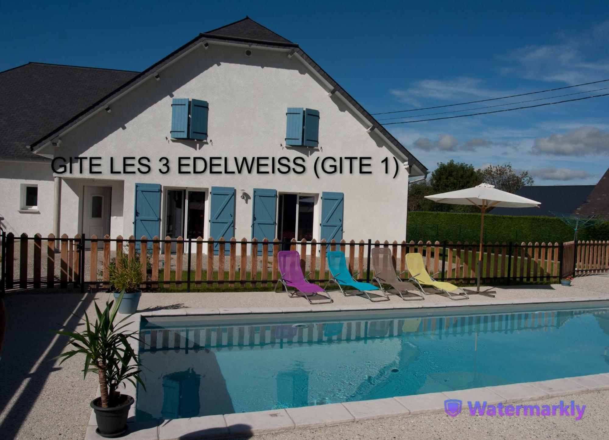 Les 3 Edelweiss - Gite 1 Ou Gite 2 Arette Exterior foto
