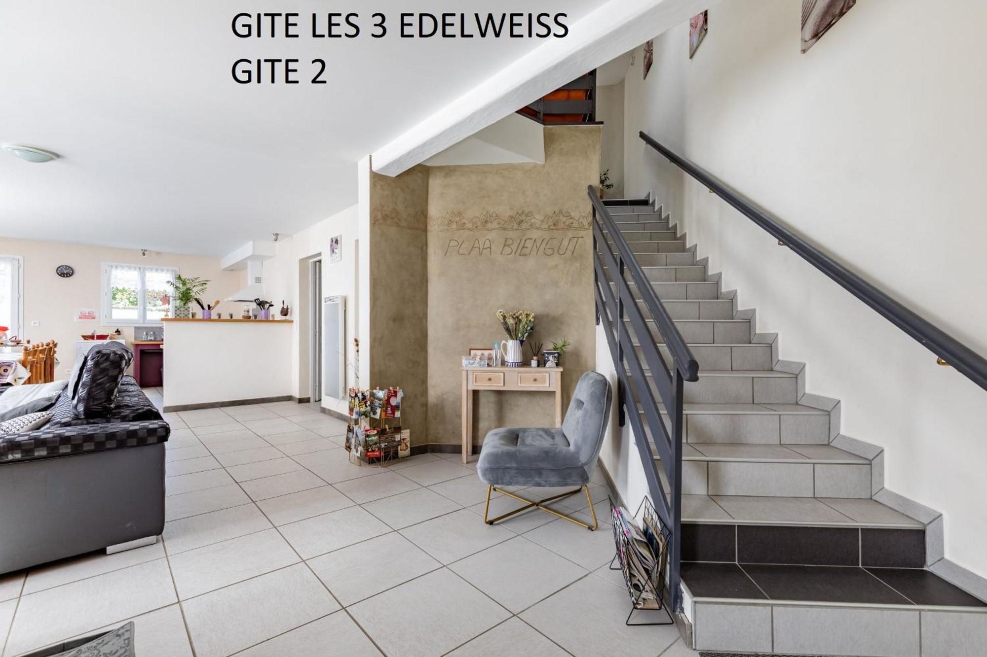 Les 3 Edelweiss - Gite 1 Ou Gite 2 Arette Exterior foto